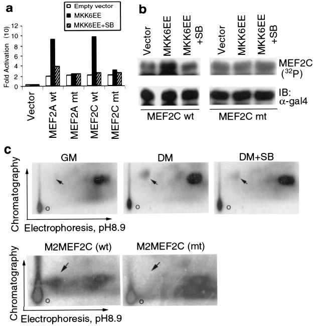 FIG. 4