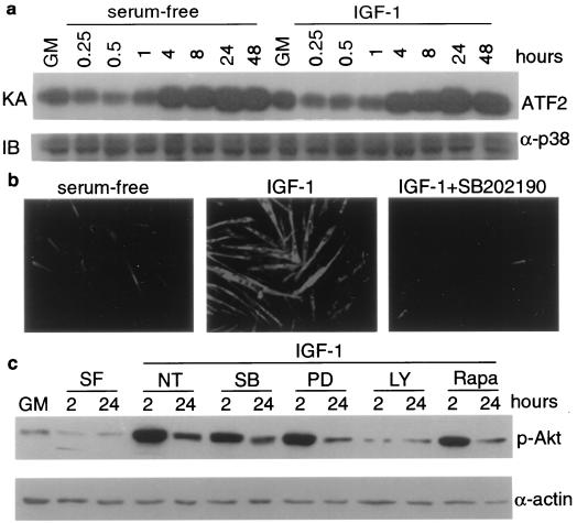 FIG. 6