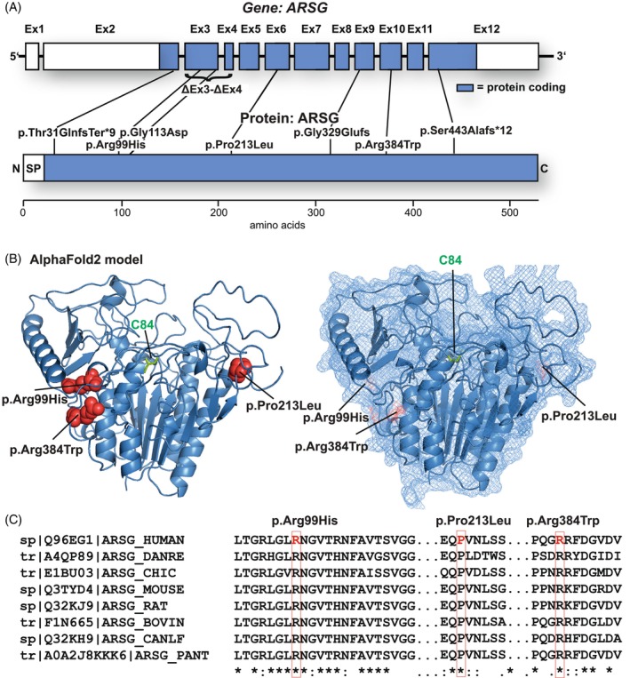 FIGURE 3