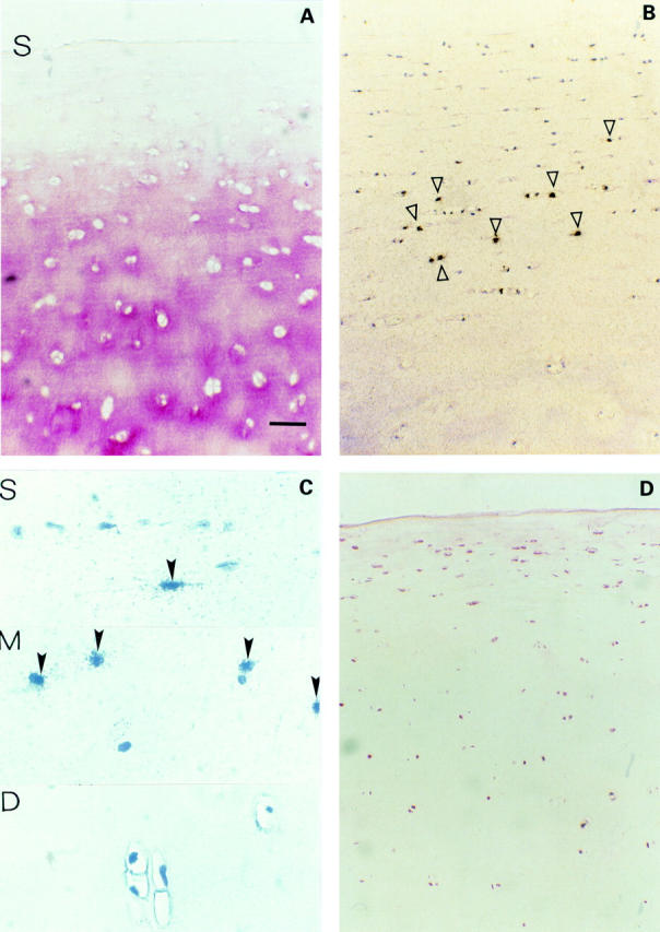 Figure 1  