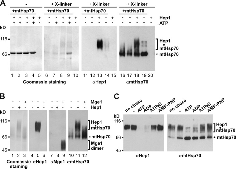 Figure 6.