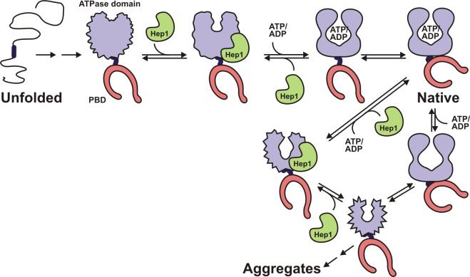 Figure 7.