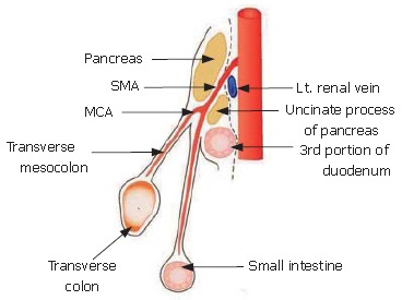 Figure 8