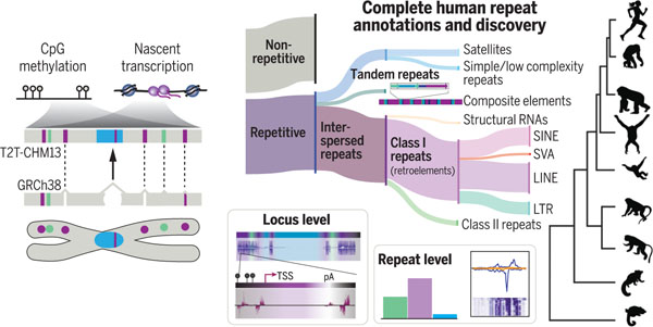 graphic file with name nihms-1804790-f0001.jpg