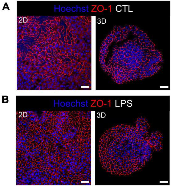 FIGURE 3