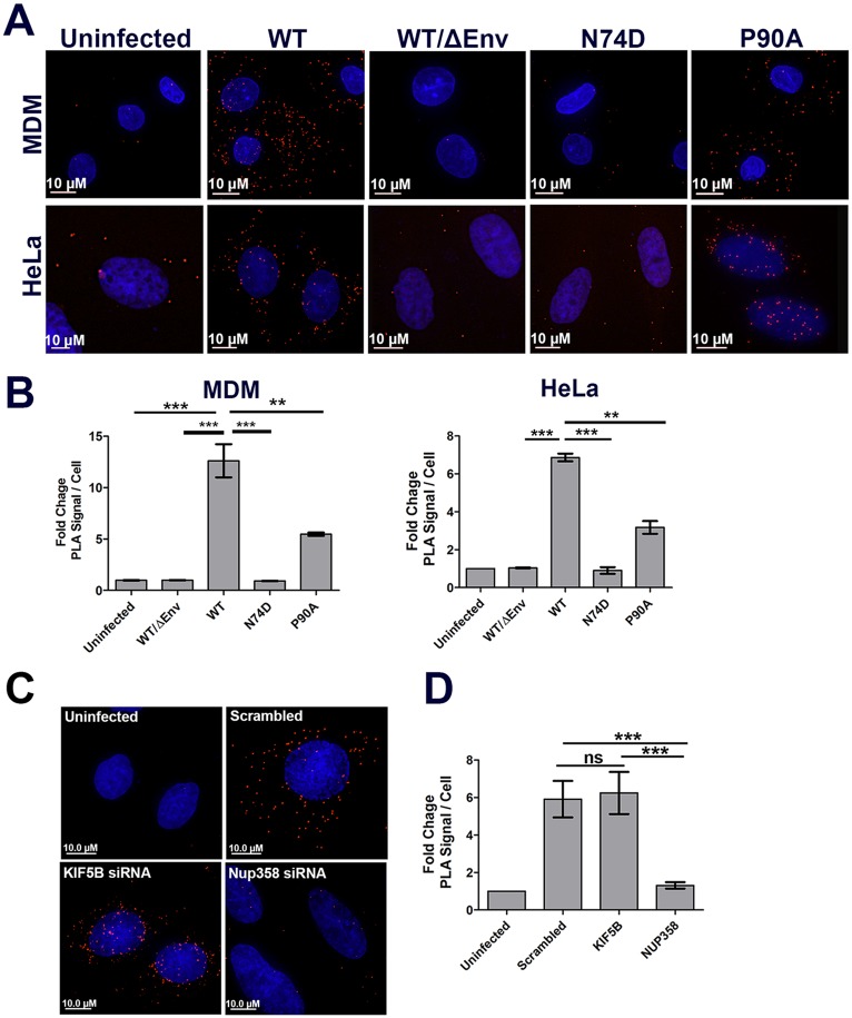 Fig 6