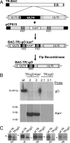 FIG. 1.