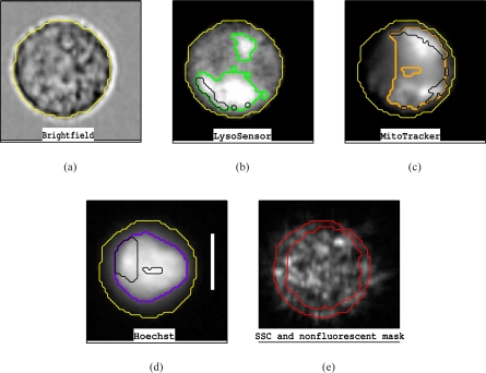 Fig. 2