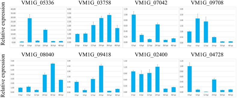 FIGURE 3