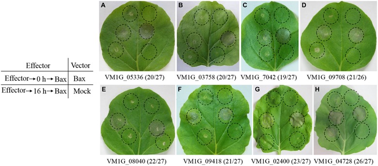 FIGURE 2