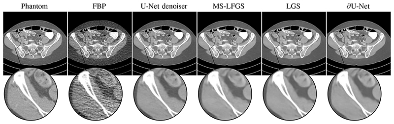 Fig. 8