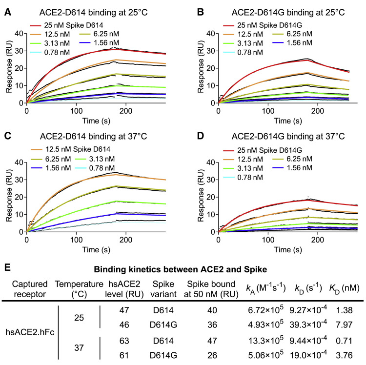 Figure 4