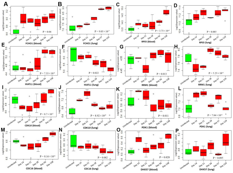 Figure 7