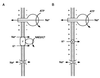 FIG. 7
