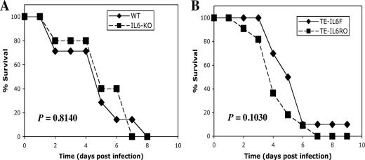 FIG. 8.