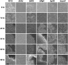 FIG 8