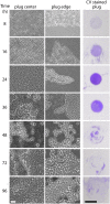 FIG 2