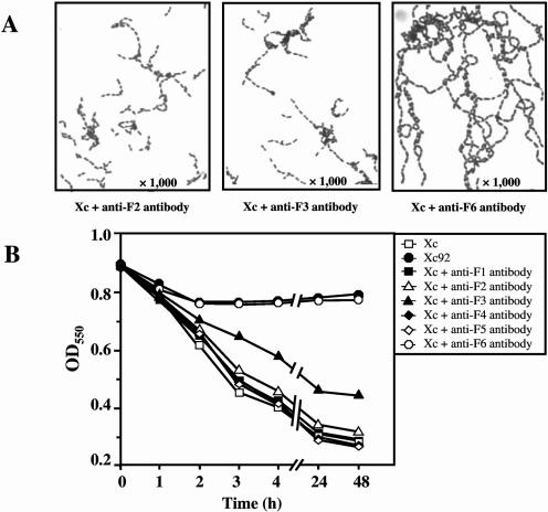 FIG. 9.