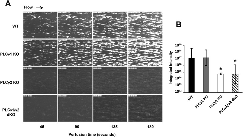 Fig 4