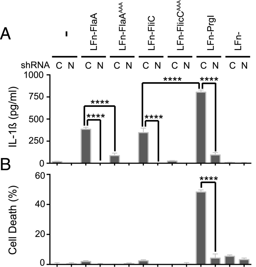 FIGURE 4.