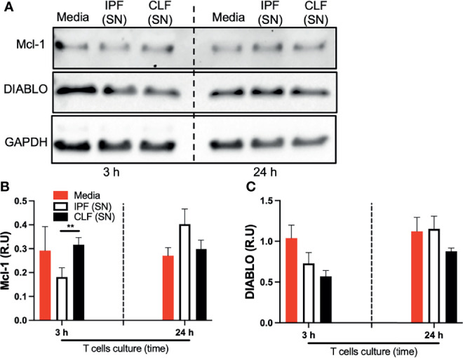 Figure 5