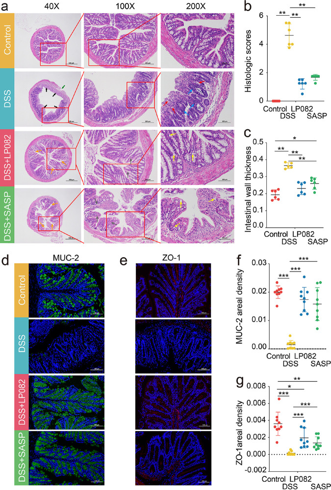 FIG 2