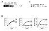 Fig. 11