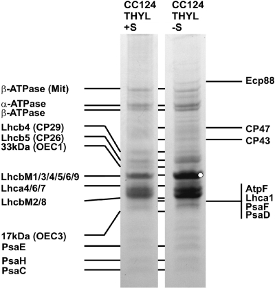 FIG. 5.