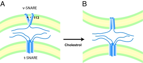 Fig. 5.