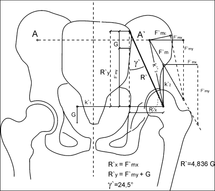 Fig. 3