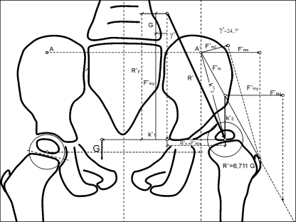 Fig. 5