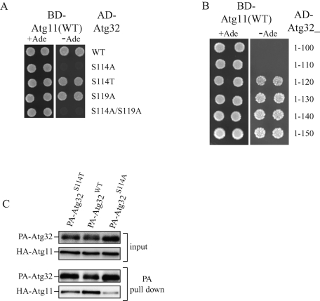 FIGURE 3: