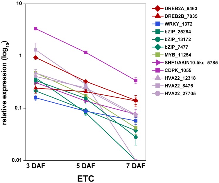 Figure 7