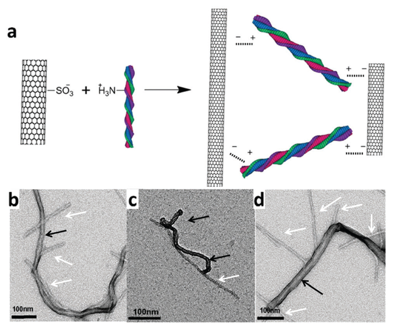 Fig. 24