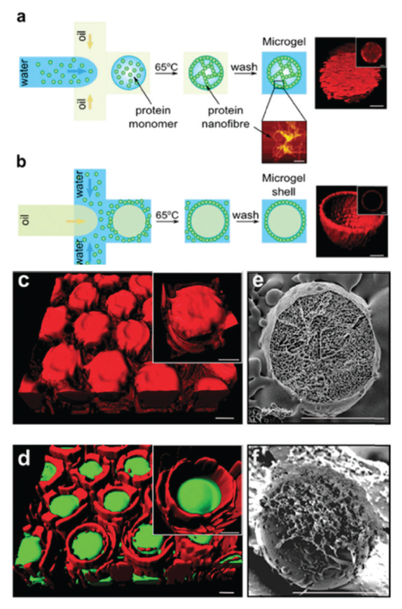 Fig. 17