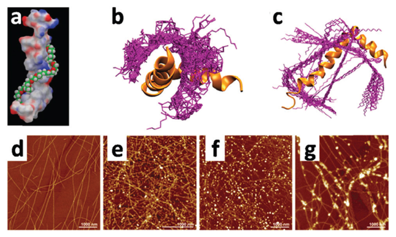 Fig. 21