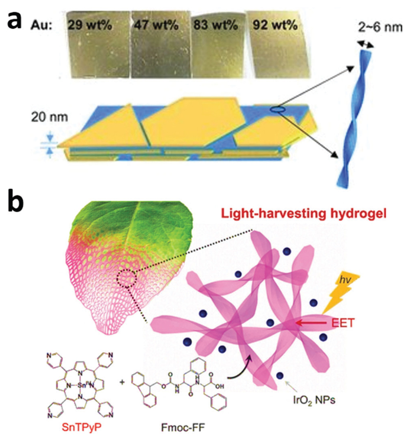 Fig. 27