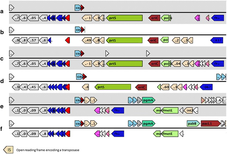 Fig. 1