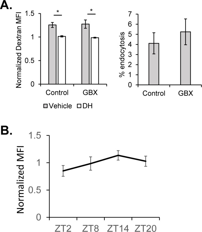 Figure 5—figure supplement 3.