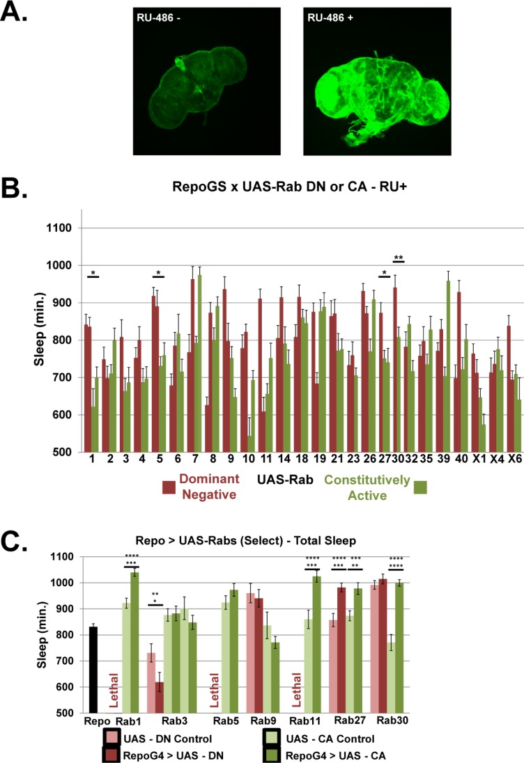 Figure 4—figure supplement 1.