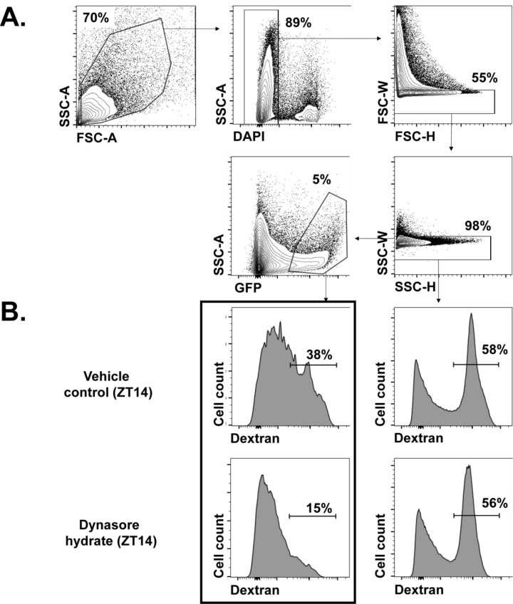 Figure 5—figure supplement 2.