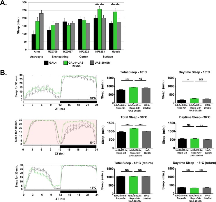 Figure 3—figure supplement 1.