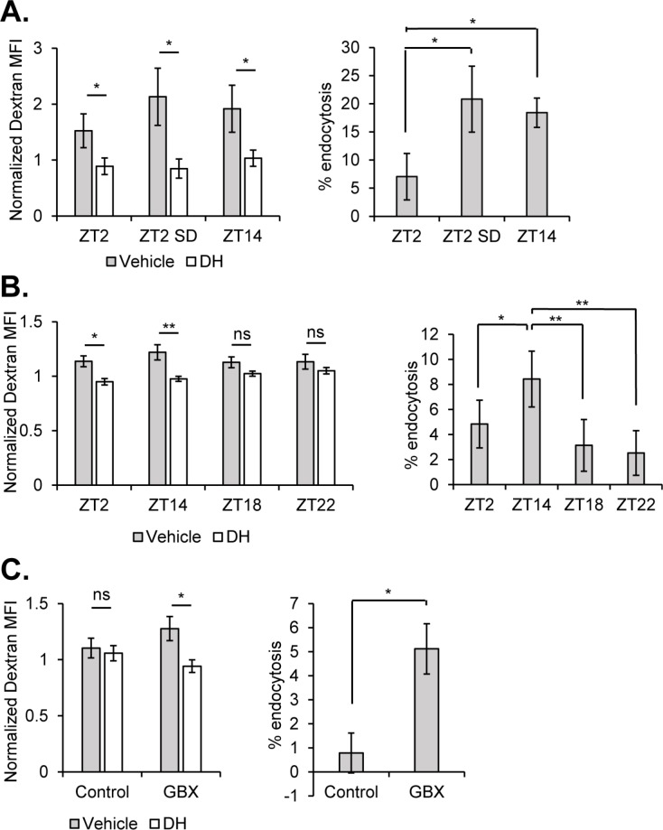 Figure 5.