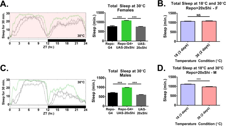 Figure 2—figure supplement 2.