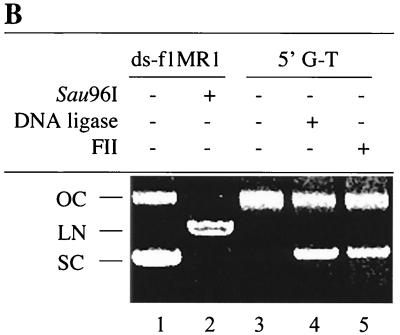 FIG. 7.