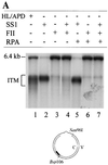 FIG. 7.