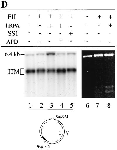 FIG. 7.