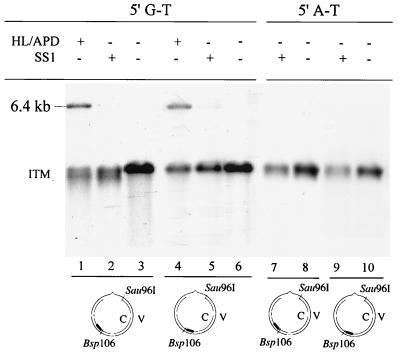 FIG. 5.