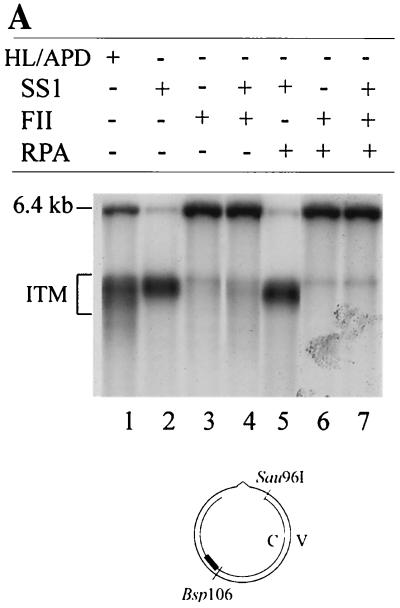 FIG. 7.