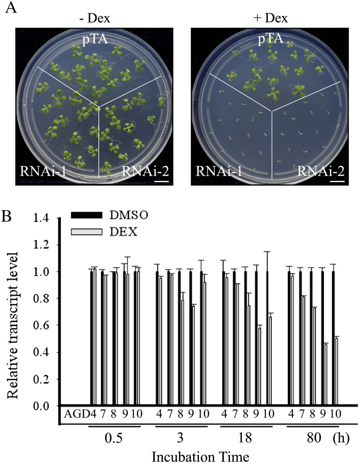 Figure 2.